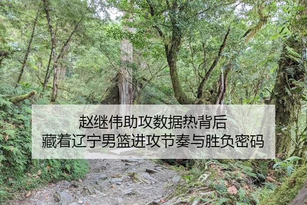 zhao-ji-wei-zhu-gong-shu-ju-re-bei-hou-cang-zhe-liao-ning-nan-lan-jin-gong-jie-zou-yu-sheng-fu-mi-ma-2-501.jpg