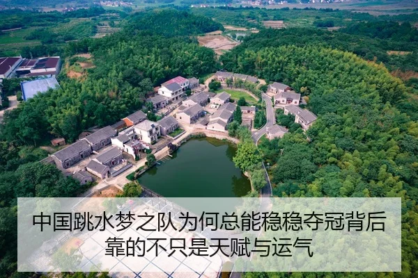 中国跳水梦之队为何总能稳稳夺冠背后靠的不只是天赋与运气